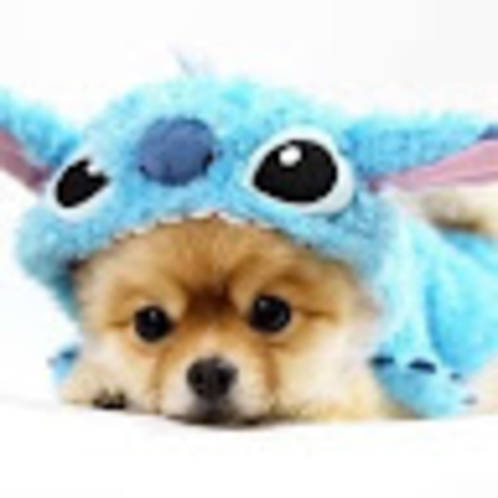 Meet your Posher, Jeremiah